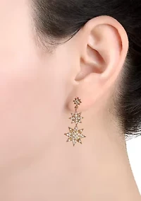 Gold Plated Cubic Zirconia Starburst Gradation Drop Earrings
