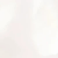 Gold Plated 8 Millimeter Potato Freshwater Pearl Oval Drop Earrings