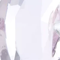 Silver Plated Crystal Butterfly Drop Earrings