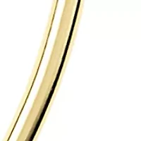 Two Tone Plated Double Open Oval Drop Earrings