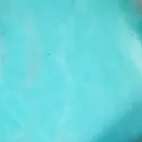 Howlite Turquoise Oval Filigree Dragonfly Drop Earrings