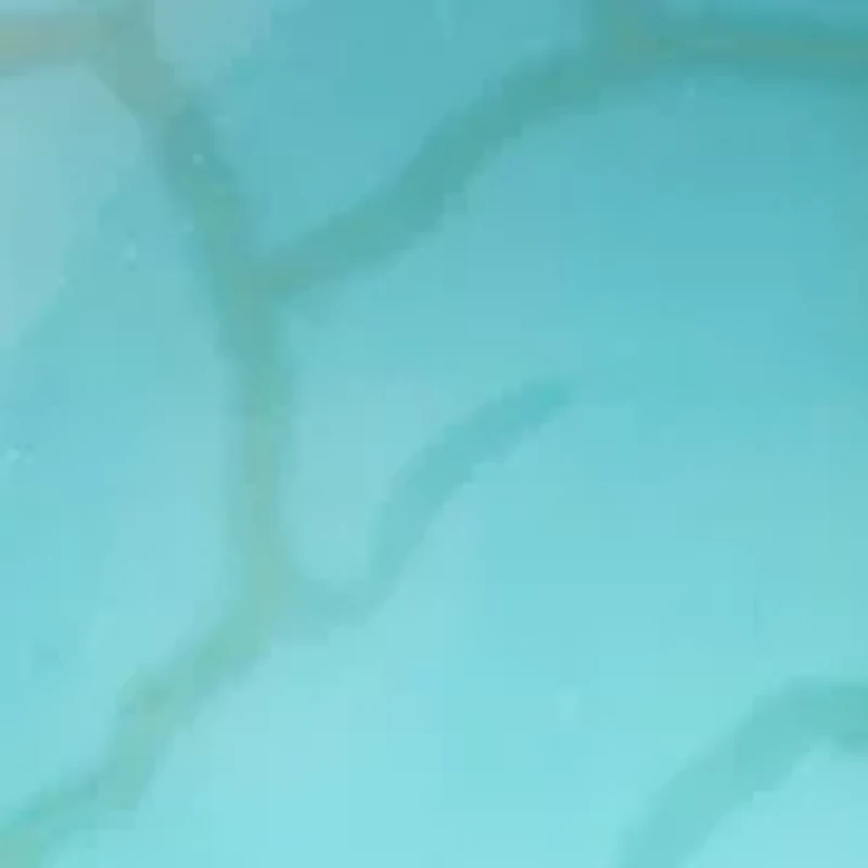  Howlite Turquoise Ball Hummingbird Earrings