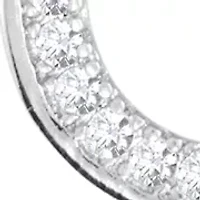 Silver Plated Cubic Zirconia Horseshoe Necklace