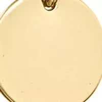 Silver- or Gold-Plated 30" Disc and Vertical Bar Double Layer Necklace