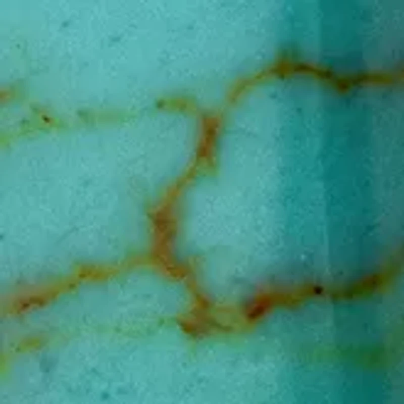 Sterling Silver Red Jasper Long Teardrop Earrings