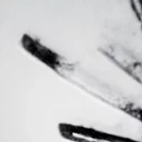 Sterling Silver Flower Bypass Ring, Size 7