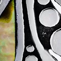 Sterling Silver Oxidized Abalone Feather Drop Earrings