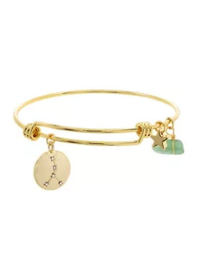 Zodiac Adjustable Boxed Bracelet