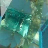 Lab Grown Cubic Zirconia Halo Stud Earrings