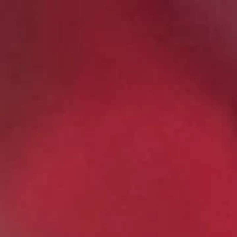 Red Beaded Silver Tone Stretch Bracelet