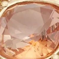 Brown Frame Stone Drop Earrings