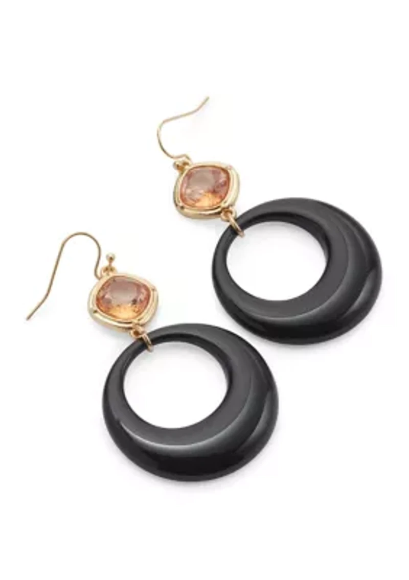 Brown Frame Stone Drop Earrings