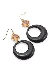 Brown Frame Stone Drop Earrings