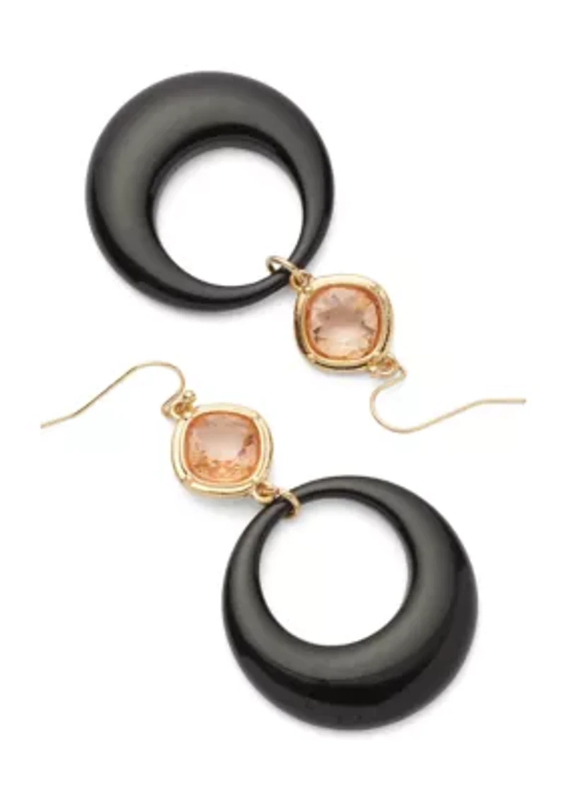 Brown Frame Stone Drop Earrings