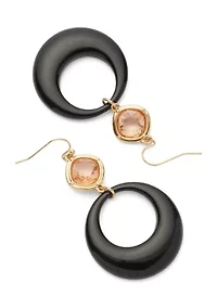 Brown Frame Stone Drop Earrings
