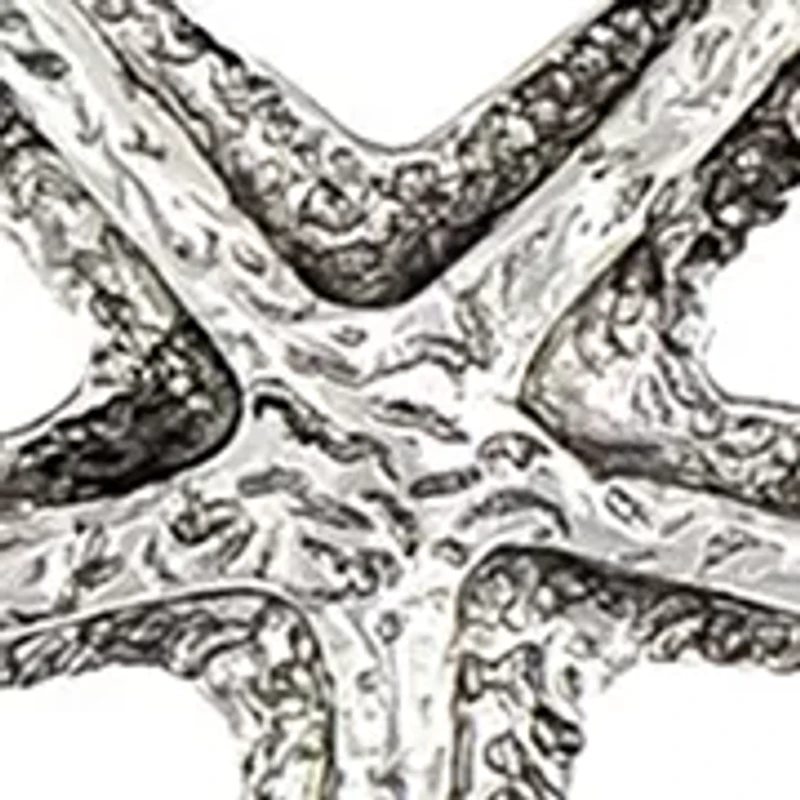 Starfish Trio Frontal Necklace