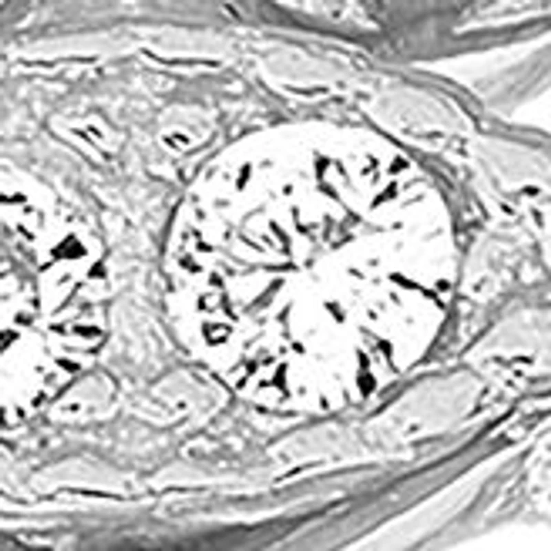 Lab Created Sterling Silver Trio Stack Ring Set - Boxed