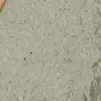 Tri Tone Beaded Turtle Charm Bracelet Set