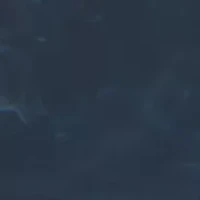 Teardrop Lever Back Earrings