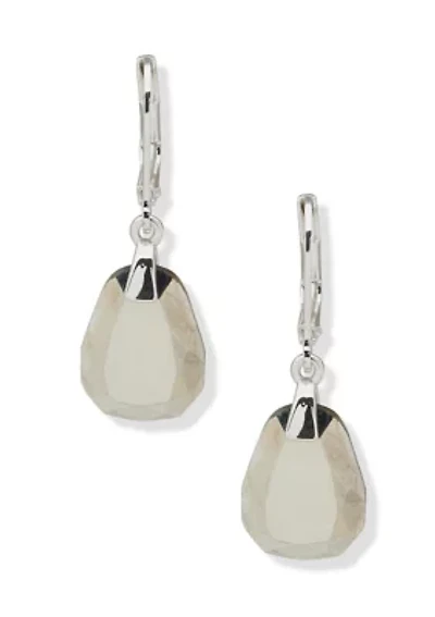 Silver Tone Stone Drop Lever Back Earrings