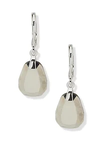 Silver Tone Stone Drop Lever Back Earrings