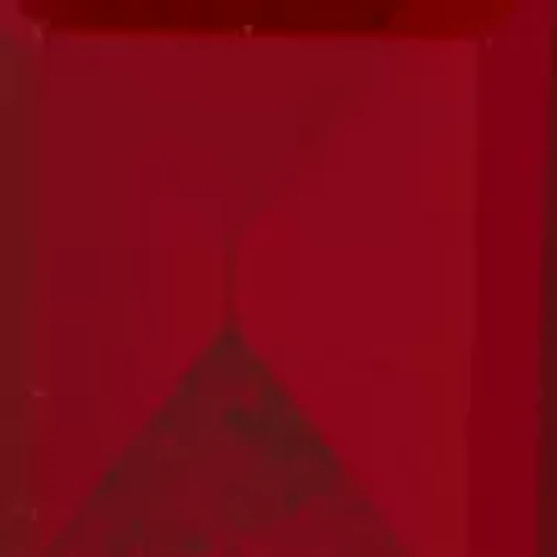 Gold-Tone Red Square Drop Earrings