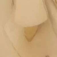 Twisted Gold Tone Huggie Earrings