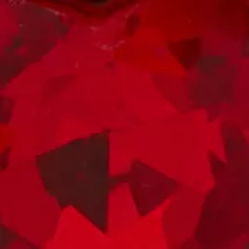 Gold Tone Siam Heart Duo Stud Earrings 