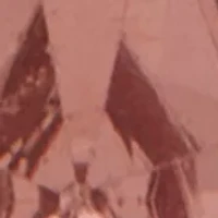 Teardrop Drop Earrings