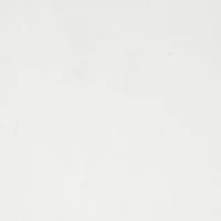 Scalloped Huggie Earrings