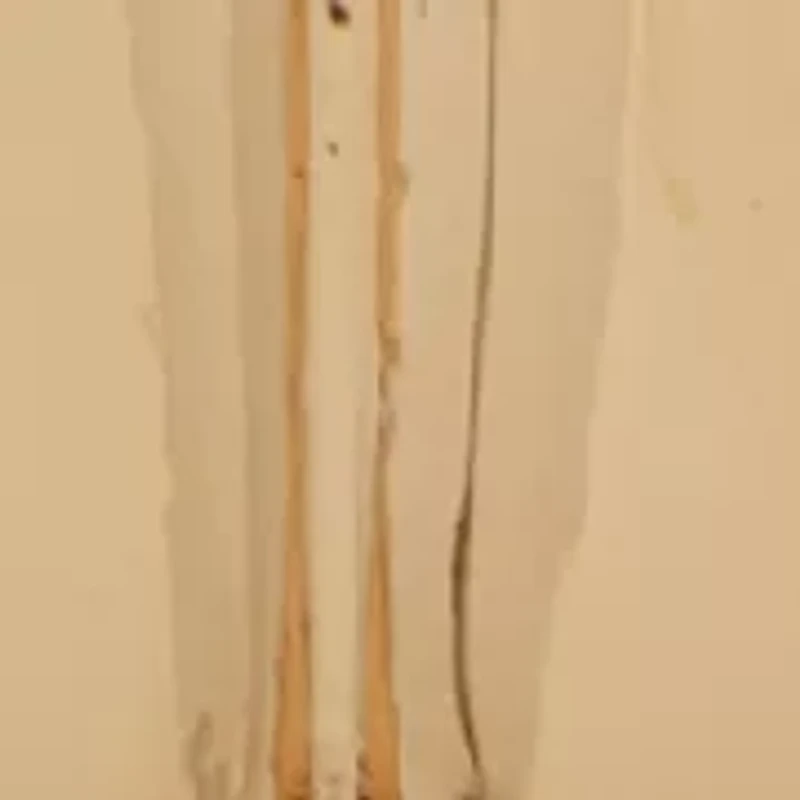 Button Stud Earrings