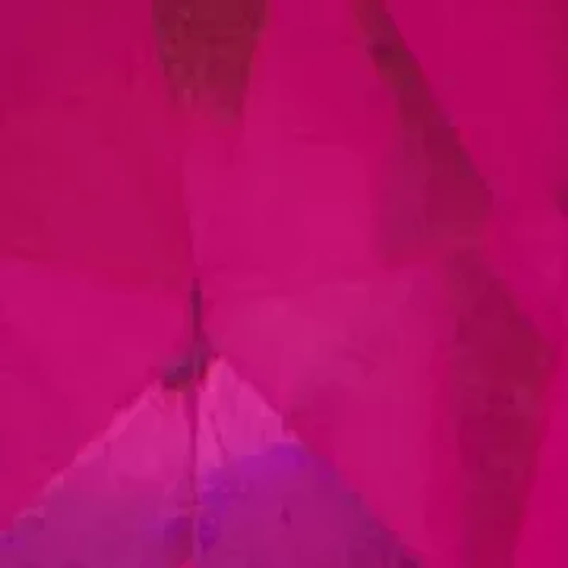  Fuchsia Teardrop Drop Earrings