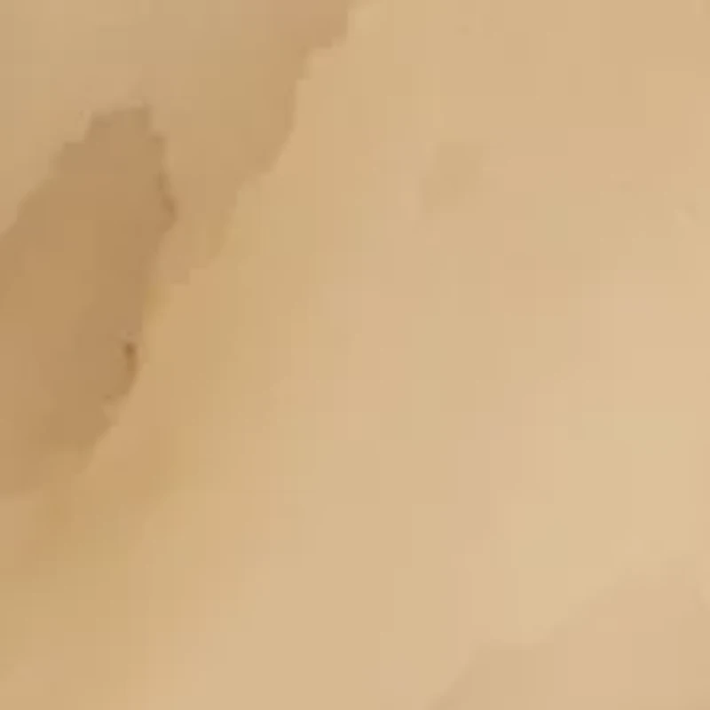 Sculptural Post Earrings