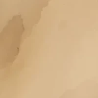 Sculptural Post Earrings