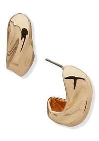 Sculptural Post Earrings