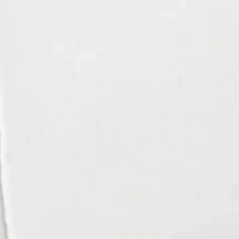 Silver Tone Hoop Earrings