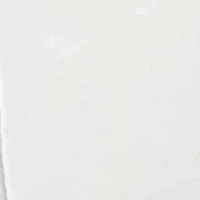 Silver Tone Hoop Earrings