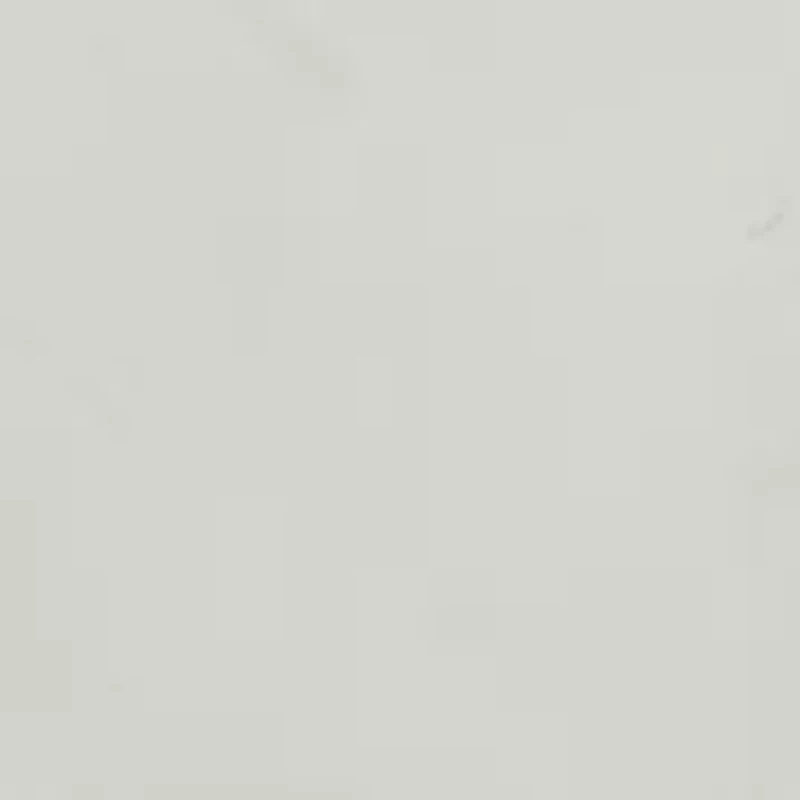 Disc Click It Hoop Earrings