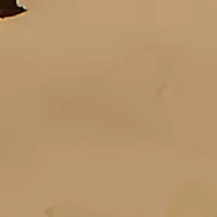 Silver Tone 17'' Wavy Texture Pendant Necklace