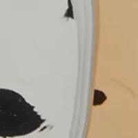 Long Tri-Tone Disc Pendant Necklace