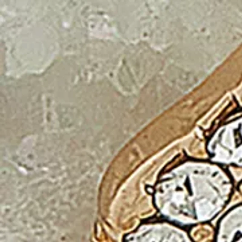 Gold Tone White Druzy Stud Earrings