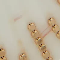 Gold Tone White Seashell Chain Drop Earrings