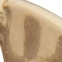 Gold Tone Multi Beaded C Hoop Earrings