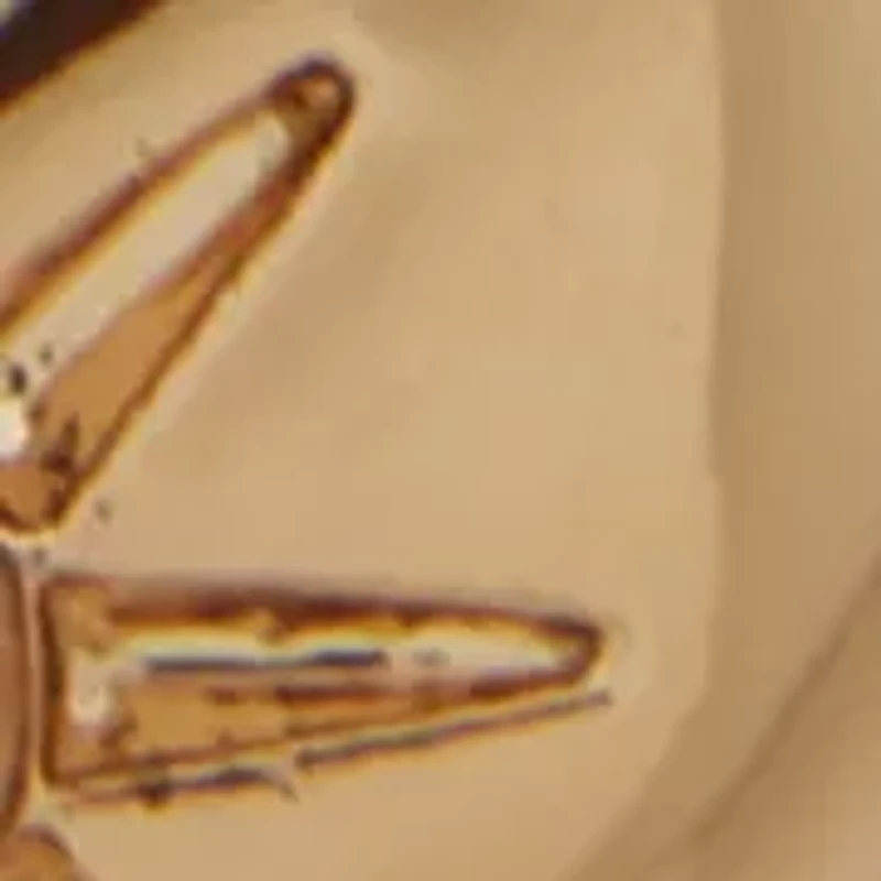 Pavé Heart Drop Hoop Earrings