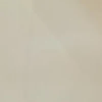 Snowflake Post Drop Earrings