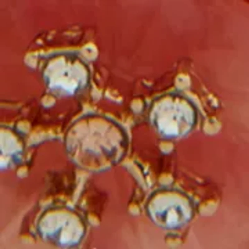  Coral Flower Stone Teardrop Earrings