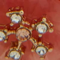  Coral Flower Stone Teardrop Earrings