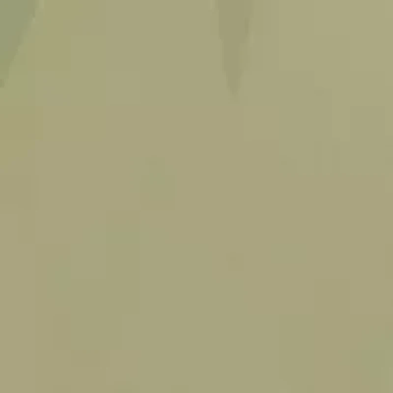 Pavé Stone Drop Earrings