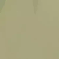 Pavé Stone Drop Earrings