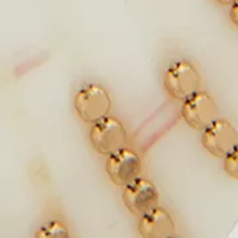 Seashell Drop Earrings